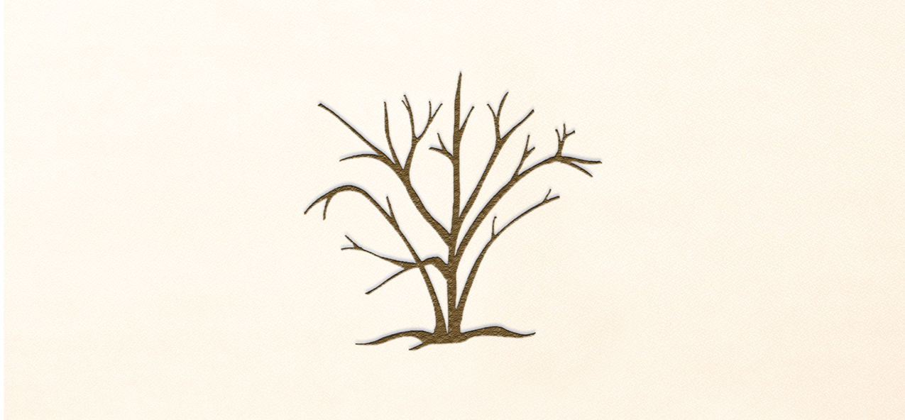 Birch Tree Rosetan Faux